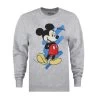 Disney - Sweat FLORIDA - Femme (Gris Chiné) - UTTV787