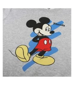 Disney - Sweat FLORIDA - Femme (Gris Chiné) - UTTV787 -Disney AACD80000EC86921506D62816178FE4099E039B2C75E5B654D480107D33243C6
